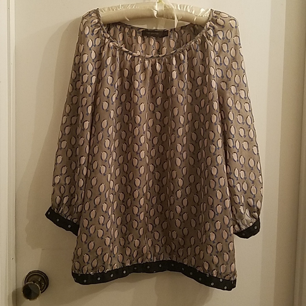 🕊️The Limited sheer pullover blouse